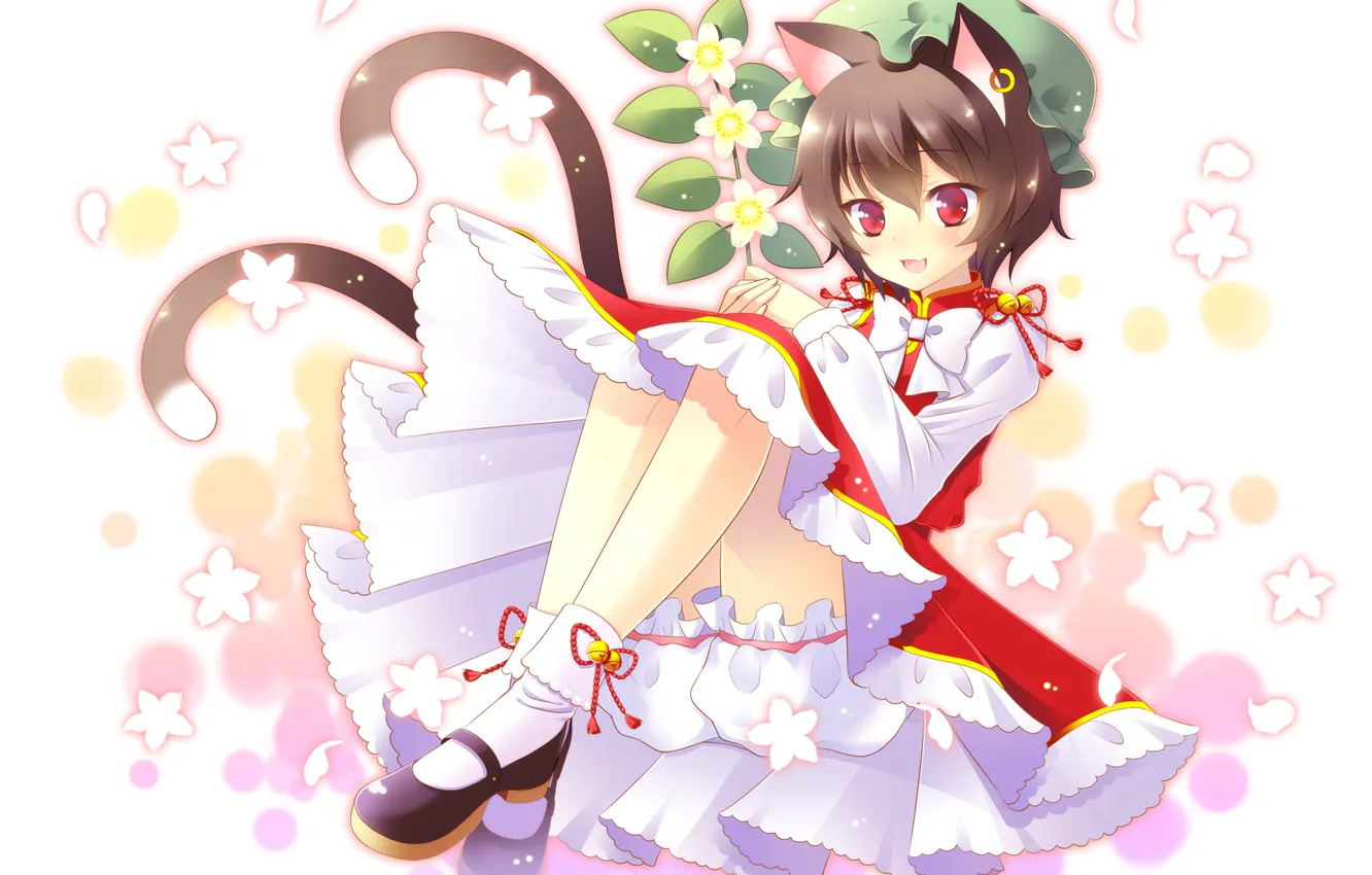 Photo wallpaper look, girl, smile, neko, cutie, touhou, art, Chen
