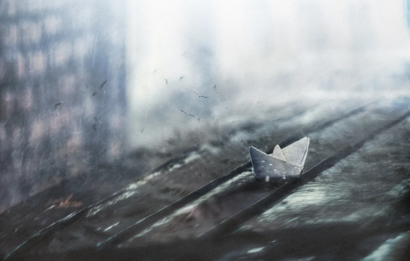 Photo wallpaper bird, scratches, paper boat