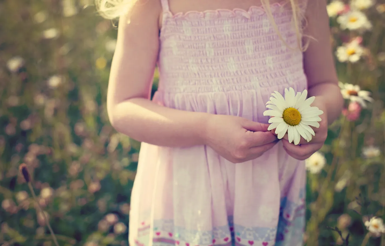 Photo wallpaper mood, chamomile, girl