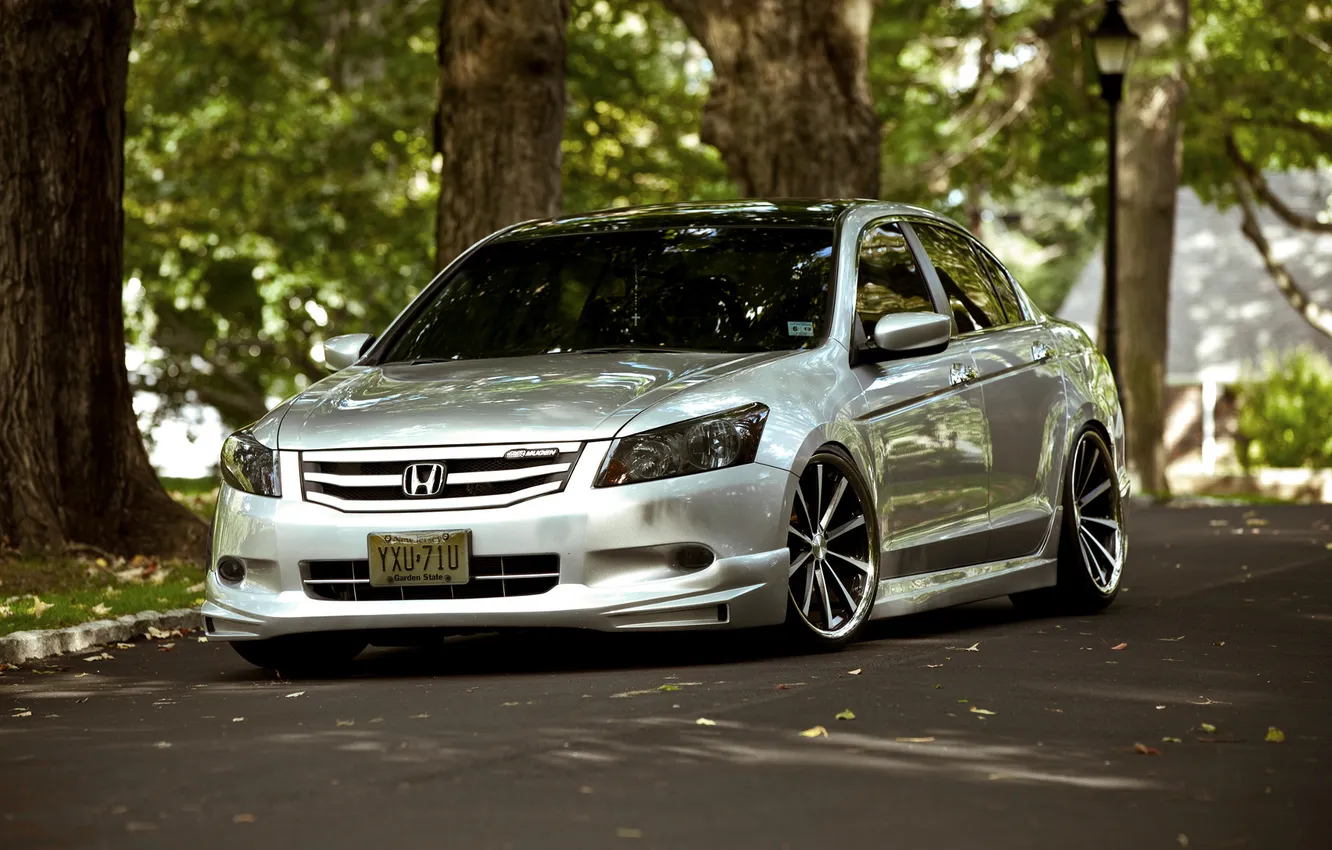 Photo wallpaper trees, Park, cars, Honda, Accord, cars, Honda, auto wallpapers