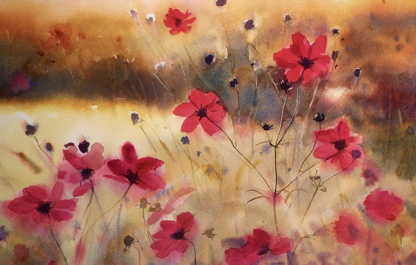 Photo wallpaper flowers, cosmos, watercolor