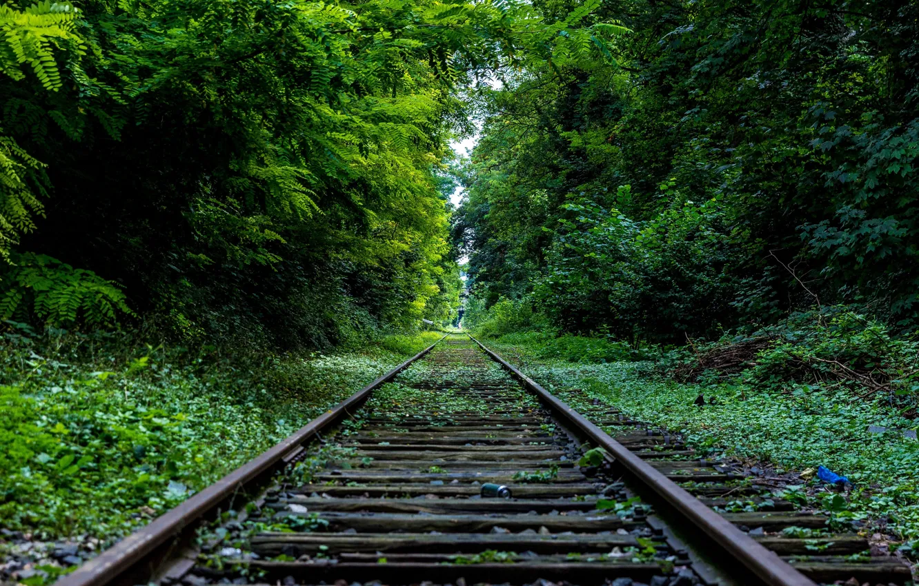 Photo wallpaper ROAD, FOREST, GREENS, TREES, RAILS, SLEEPERS