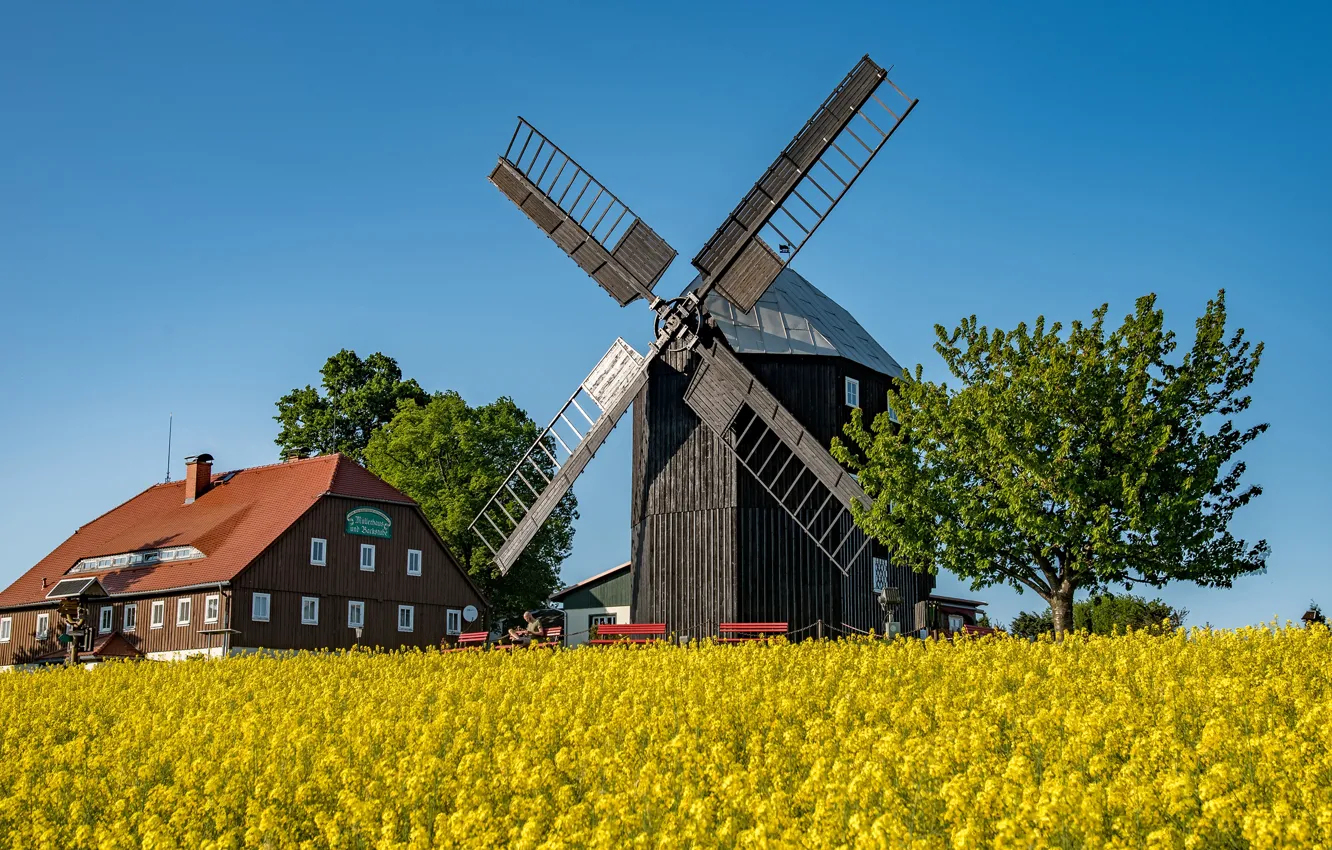 Photo wallpaper field, the sky, the sun, trees, bench, home, Germany, mill