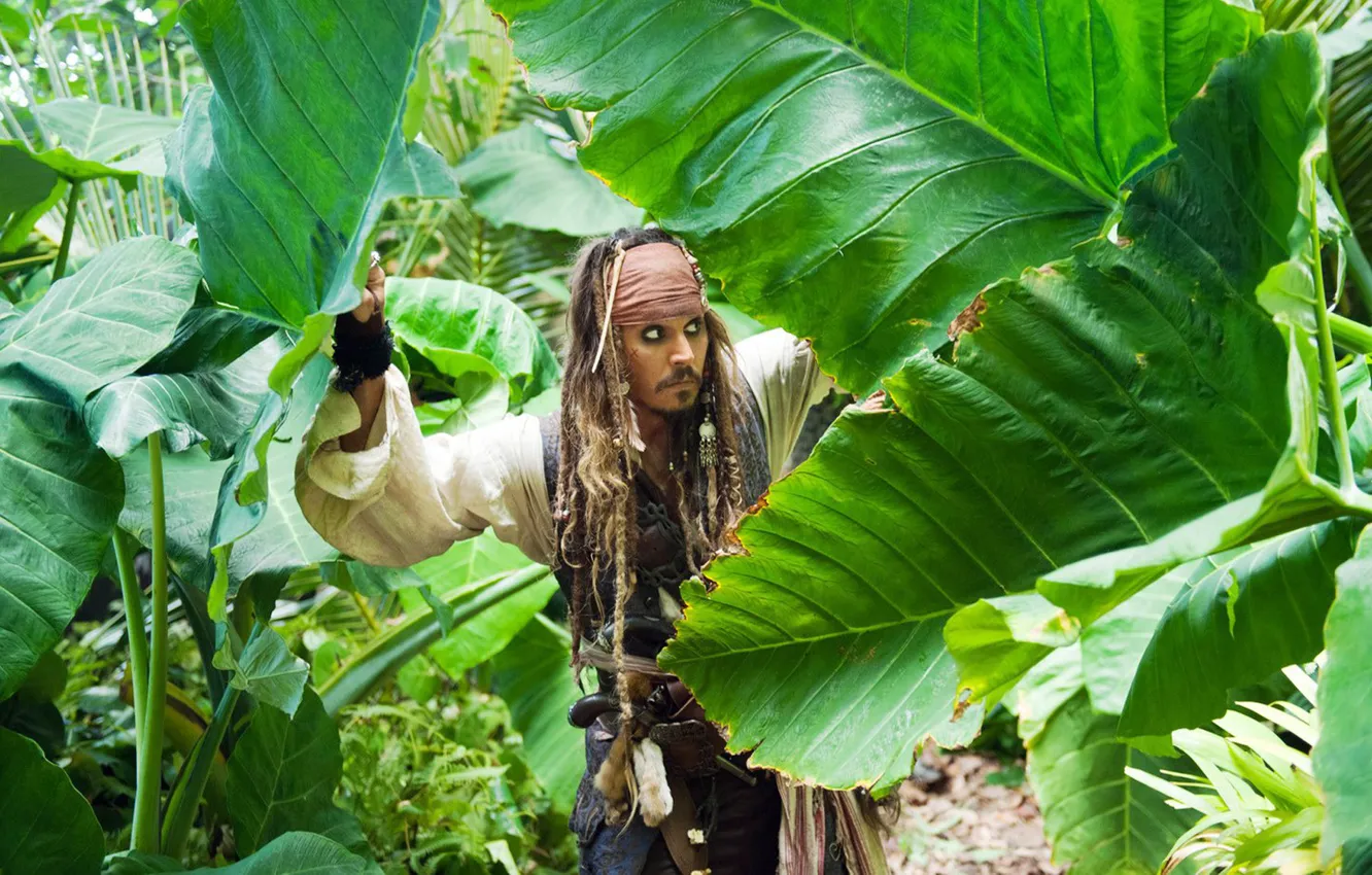 Photo wallpaper leaves, jungle, johnny depp, Jack Sparrow, pirates of the Caribbean 4, johnny Depp