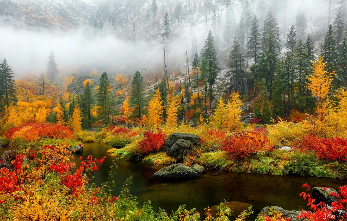 Photo wallpaper autumn, forest, snow, trees, nature, river, paint, slope
