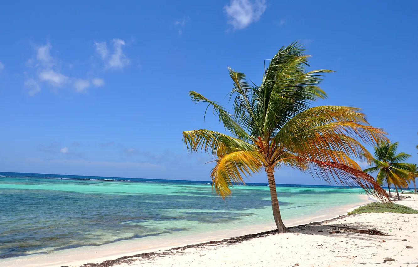 Photo wallpaper beach, the ocean, shore