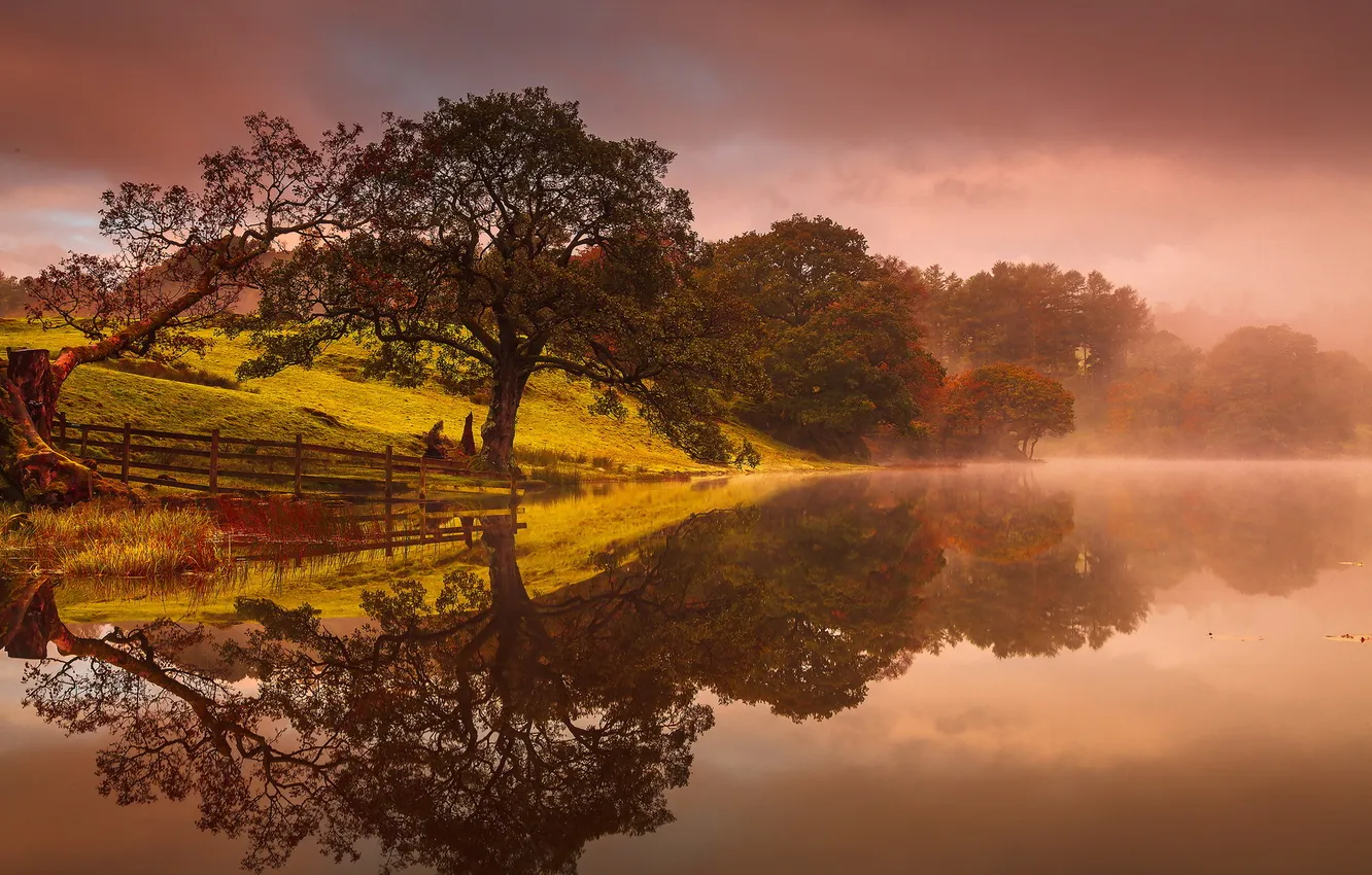 Photo wallpaper landscape, fog, lake