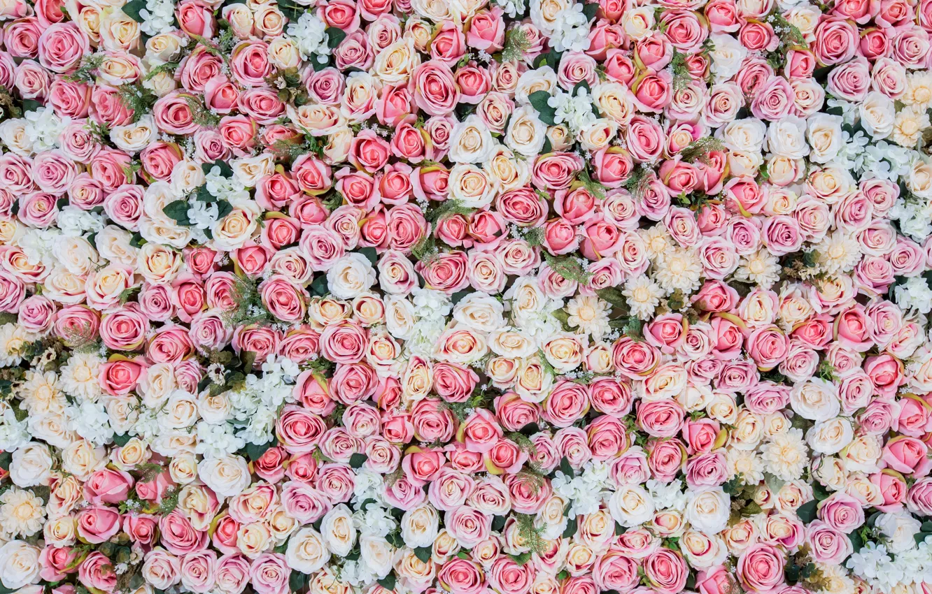 Photo wallpaper flowers, background, roses, pink, buds, pink, flowers, roses
