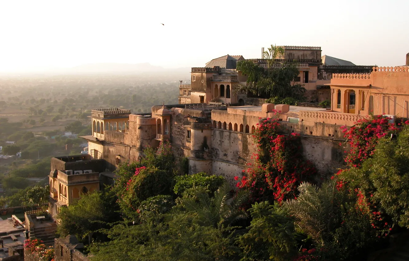 Photo wallpaper mountain, garden, India, Fort, architecture, Palace, Palace, trees.