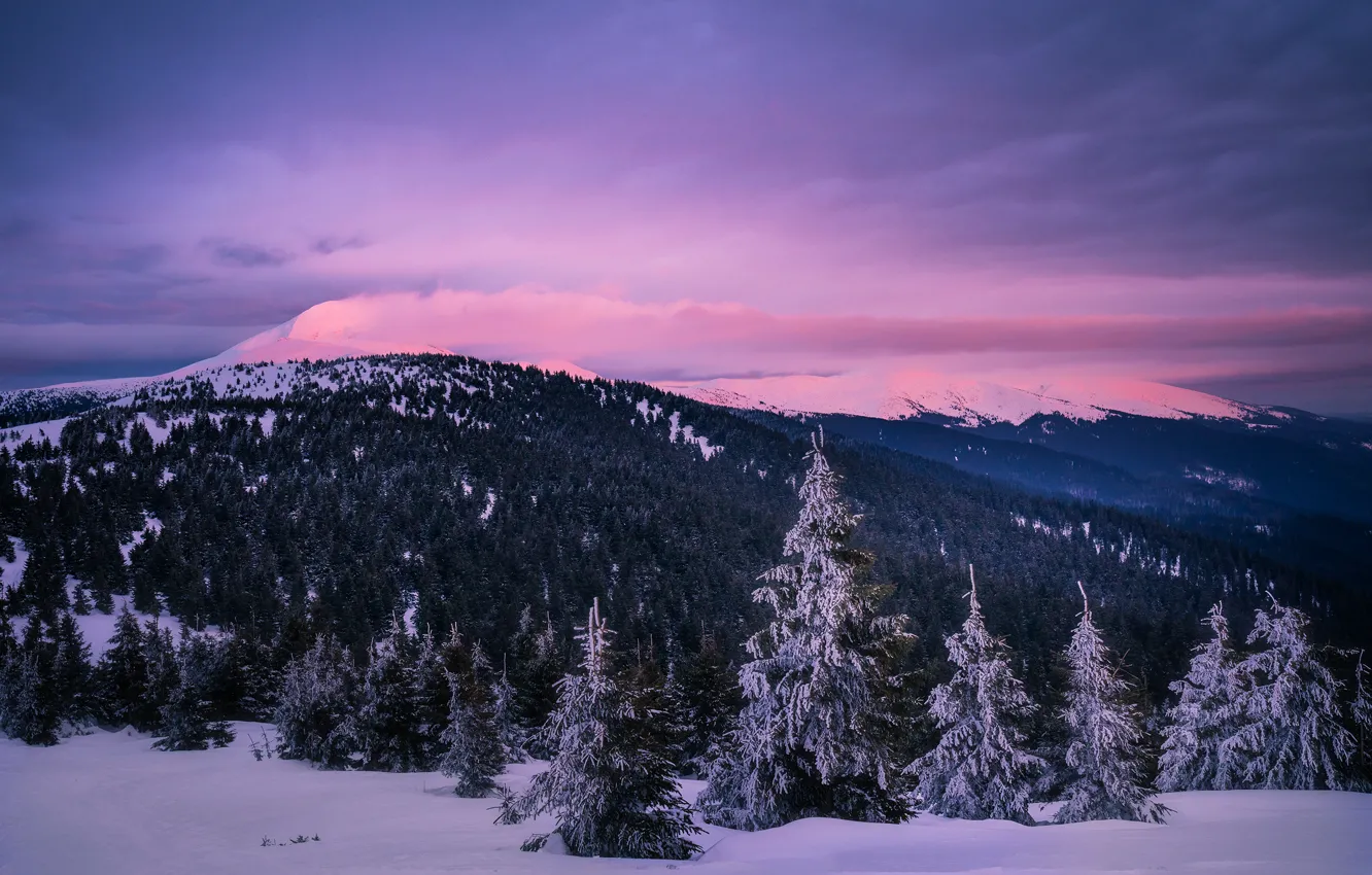Photo wallpaper winter, forest, clouds, snow, landscape, mountains, nature, Carpathians
