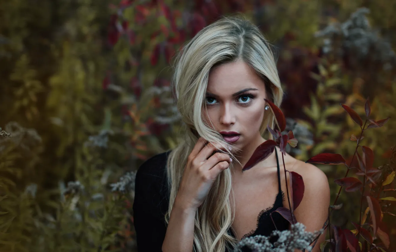 Photo wallpaper look, sponge, Jesse Duke, Keil.