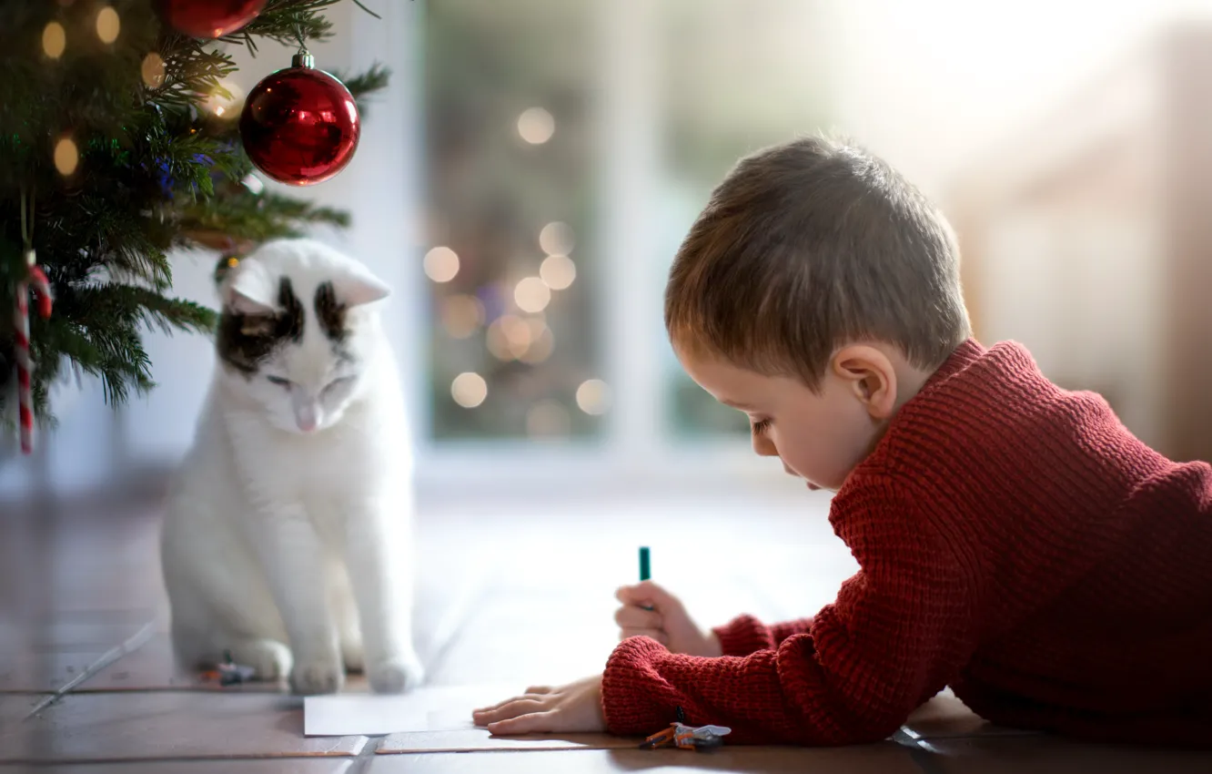 Photo wallpaper cat, boy, a letter to Santa Claus
