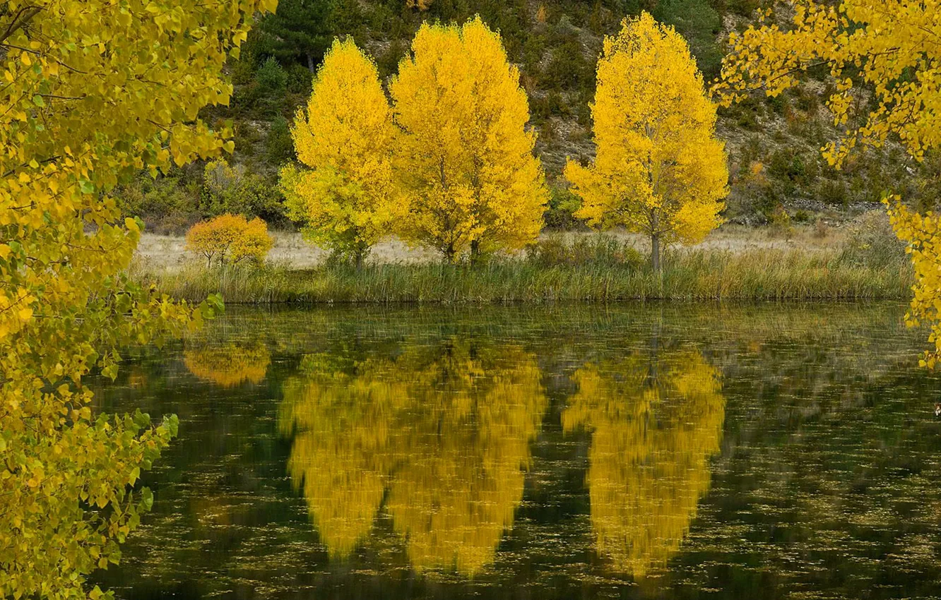 Photo wallpaper autumn, leaves, trees, lake, reflection, river