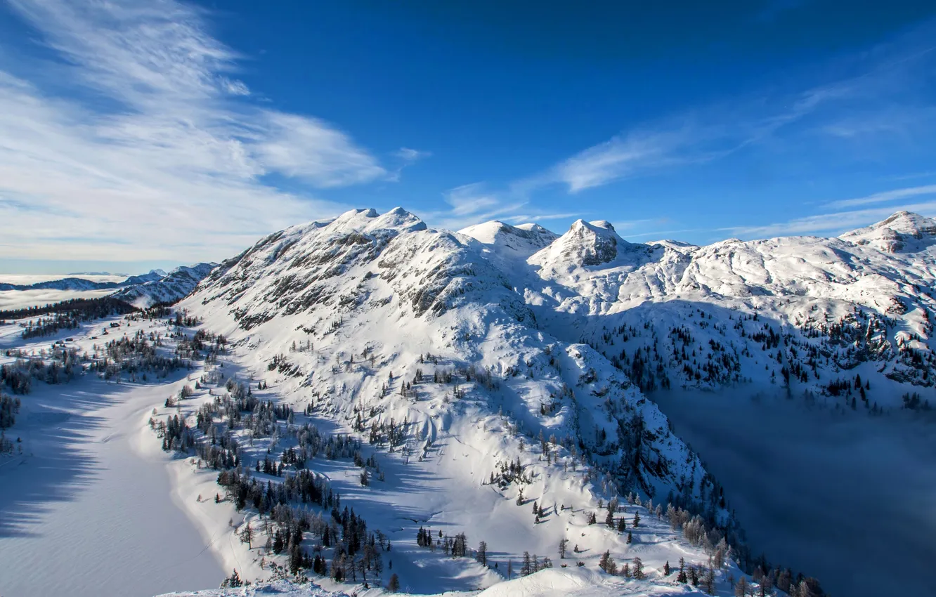 Photo wallpaper winter, forest, the sky, clouds, snow, trees, landscape, mountains