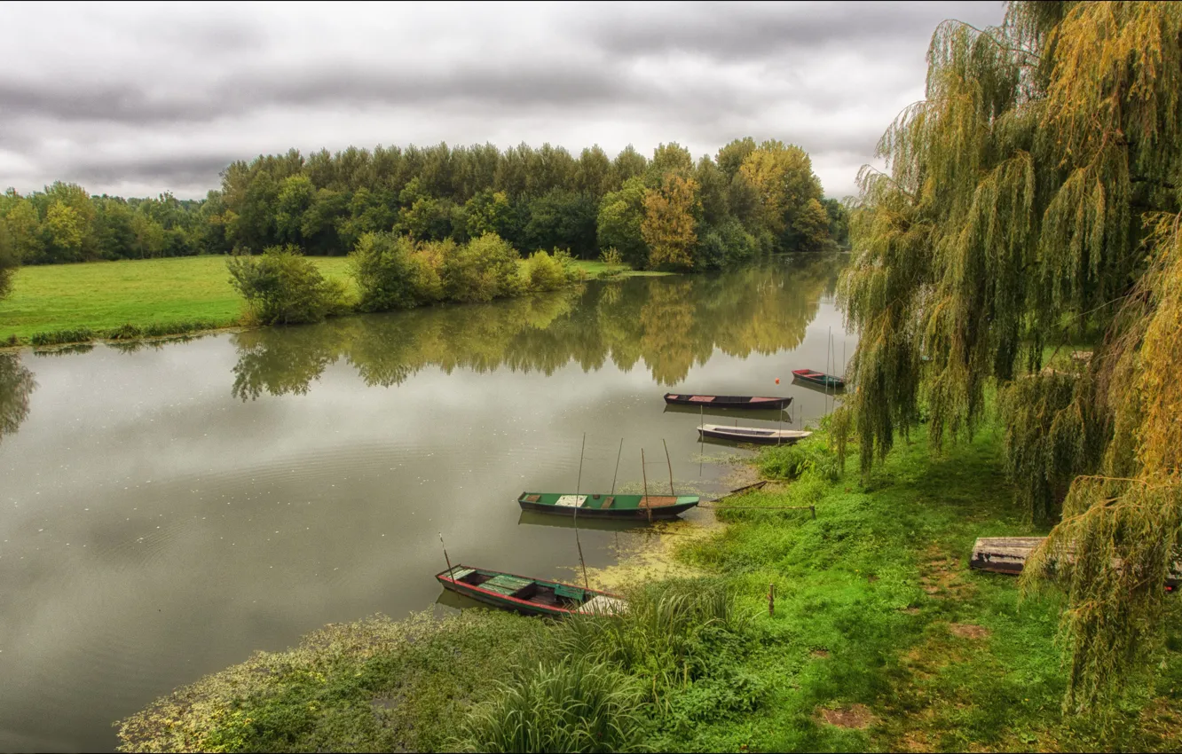 Photo wallpaper grass, trees, river, shore, boat, willow
