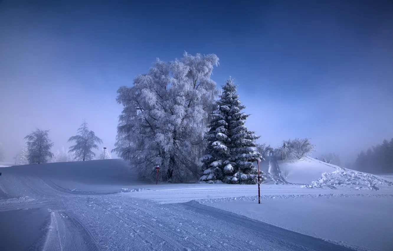 Photo wallpaper winter, snow, frost, crossroads