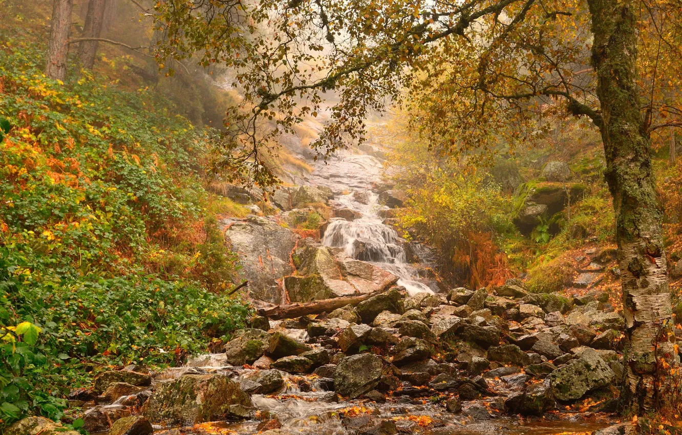 Photo wallpaper autumn, nature, waterfall