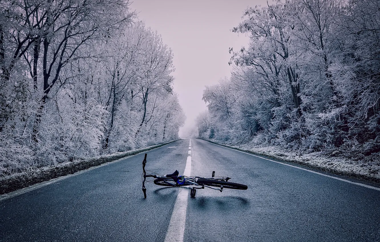 Photo wallpaper winter, forest, snow, trees, bike, fog, highway, lies