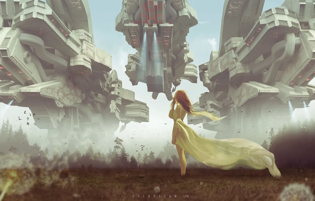 Photo wallpaper look, girl, hair, ship, art, sci-fi