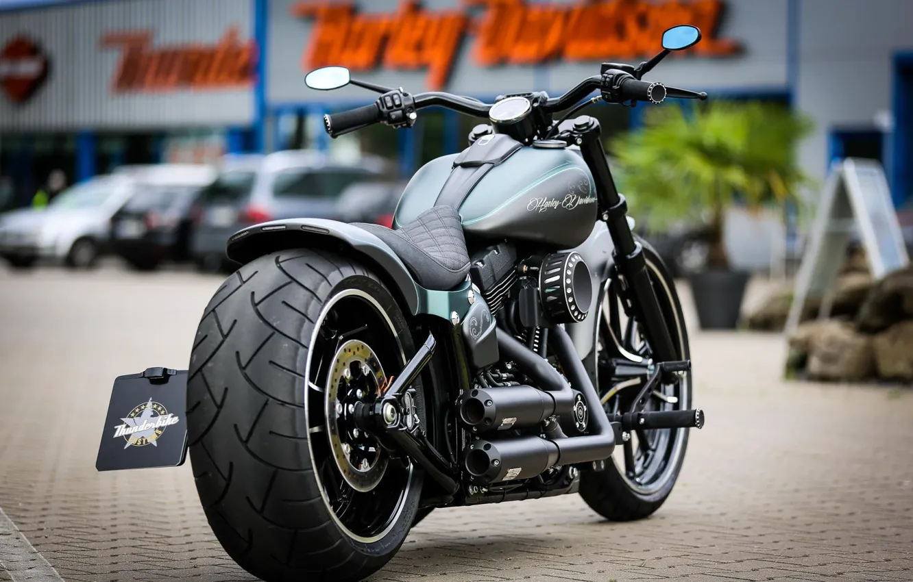 Photo wallpaper Harley Davidson, Harley-Davidson, Motorbike, Thunderbike, Custom bike, By Thunderbike