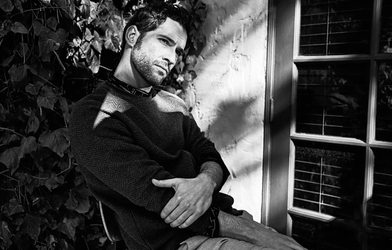 Photo wallpaper pose, black and white, actor, Tom Ellis, Tom Ellis