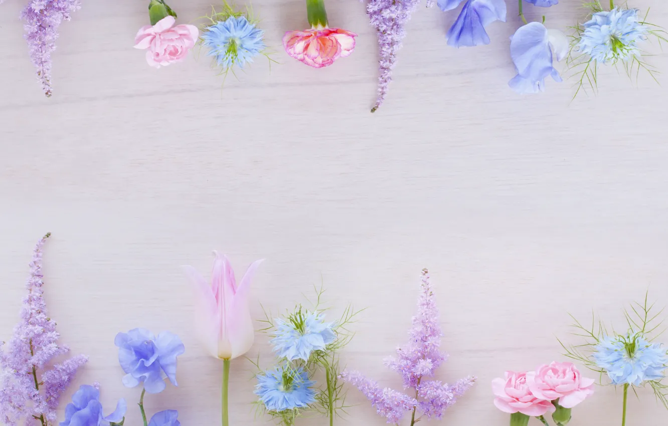 Photo wallpaper greens, flowers, background, pink, blue