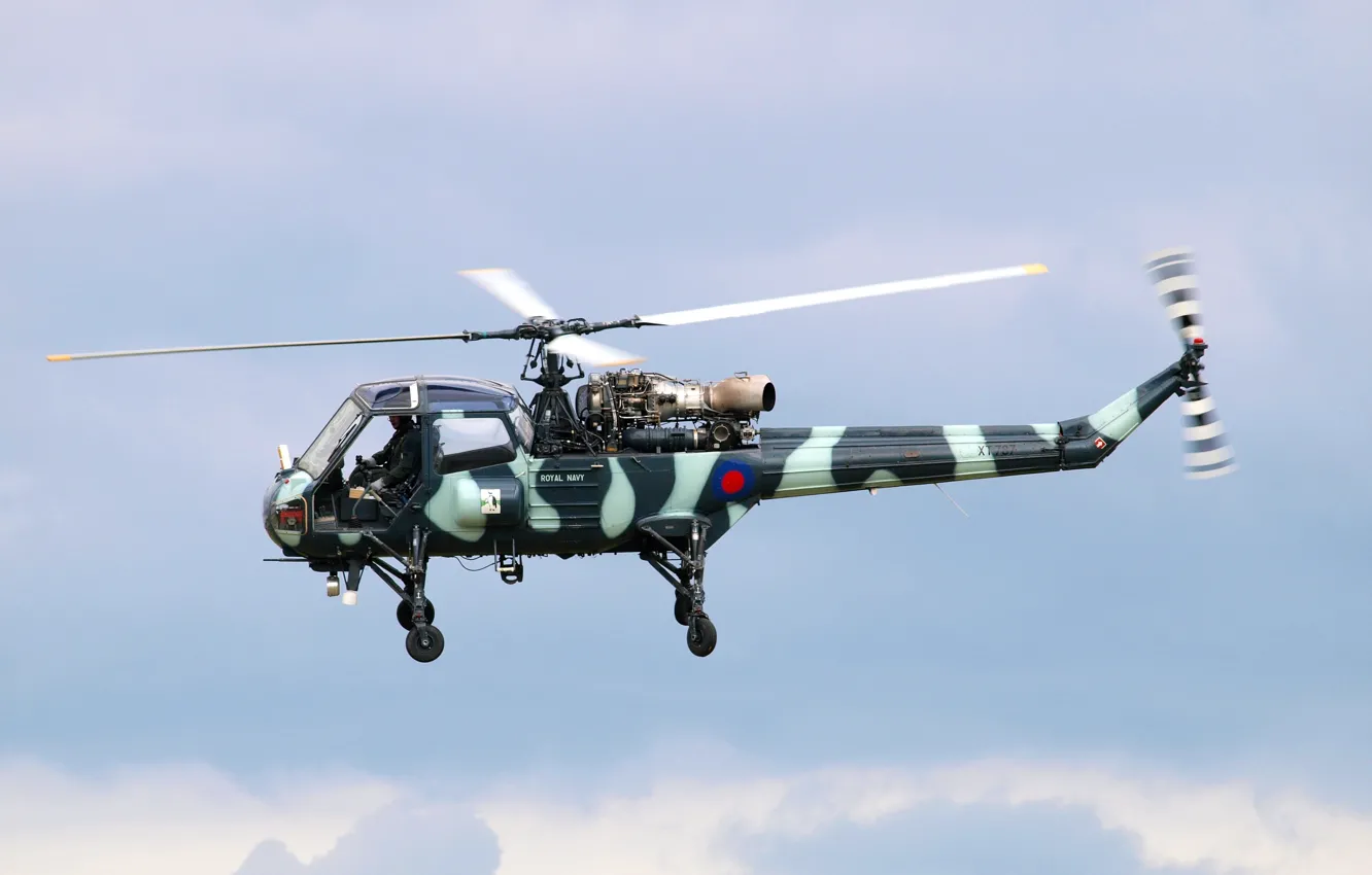 Photo wallpaper helicopter, military, British, multipurpose, Westland Scout