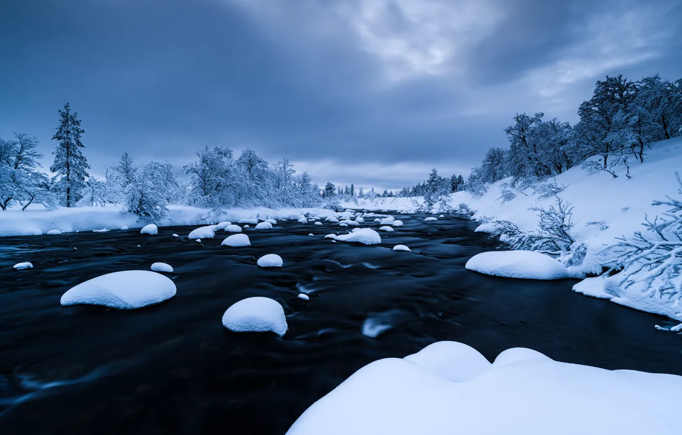 Photo wallpaper winter, snow, trees, landscape, river, forest, river, trees