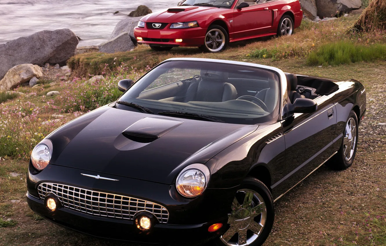 Photo wallpaper water, stones, shore, Mustang, Ford, convertible, and, Thunderbird