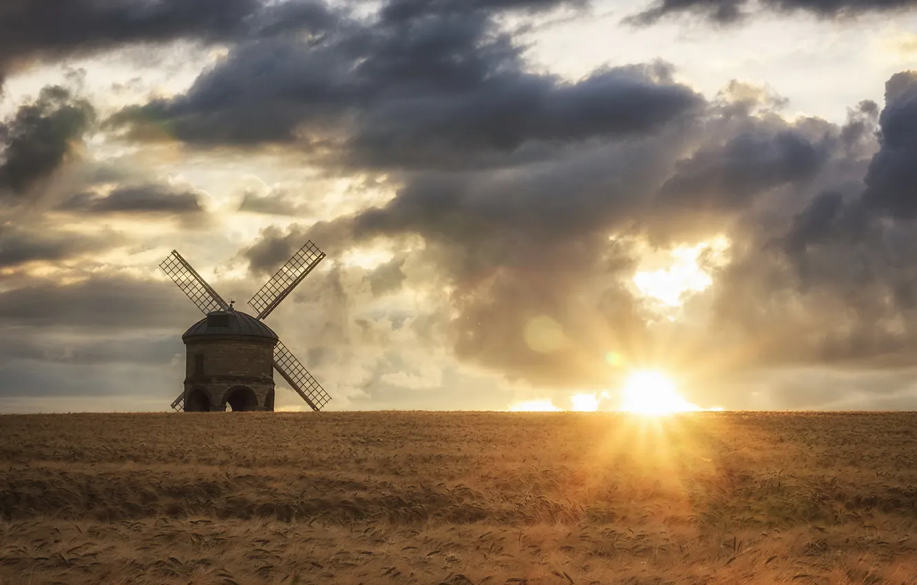Photo wallpaper field, landscape, mill, ears