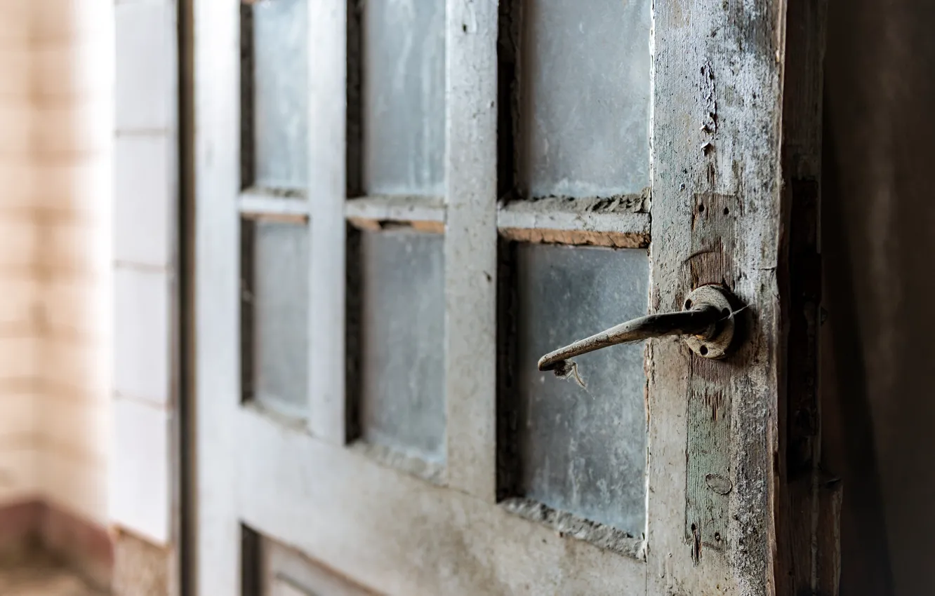 Photo wallpaper background, home, the door