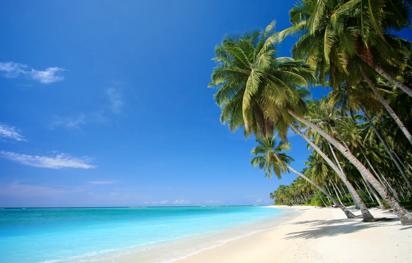 Photo wallpaper sand, sea, beach, tropics, palm trees