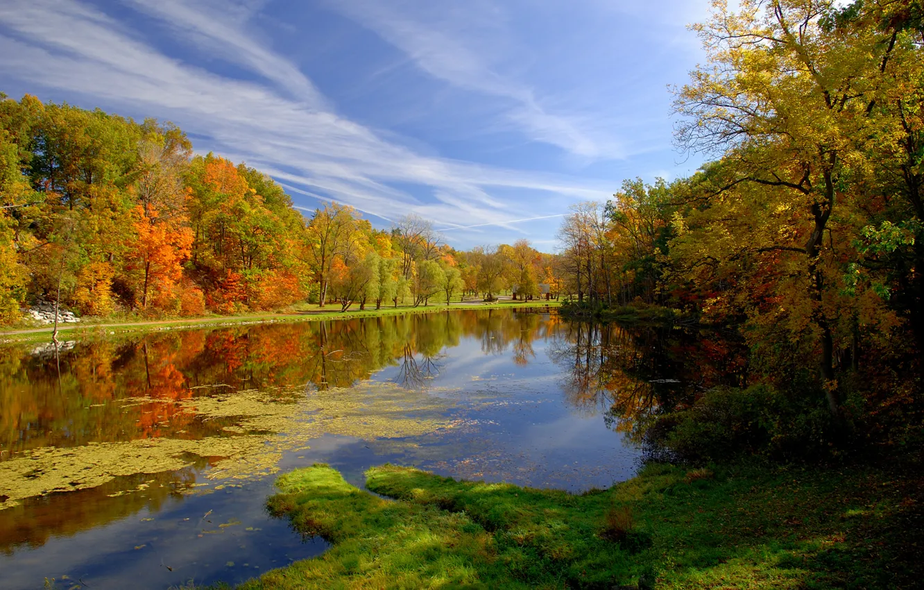 Photo wallpaper autumn, nature, pond, Park