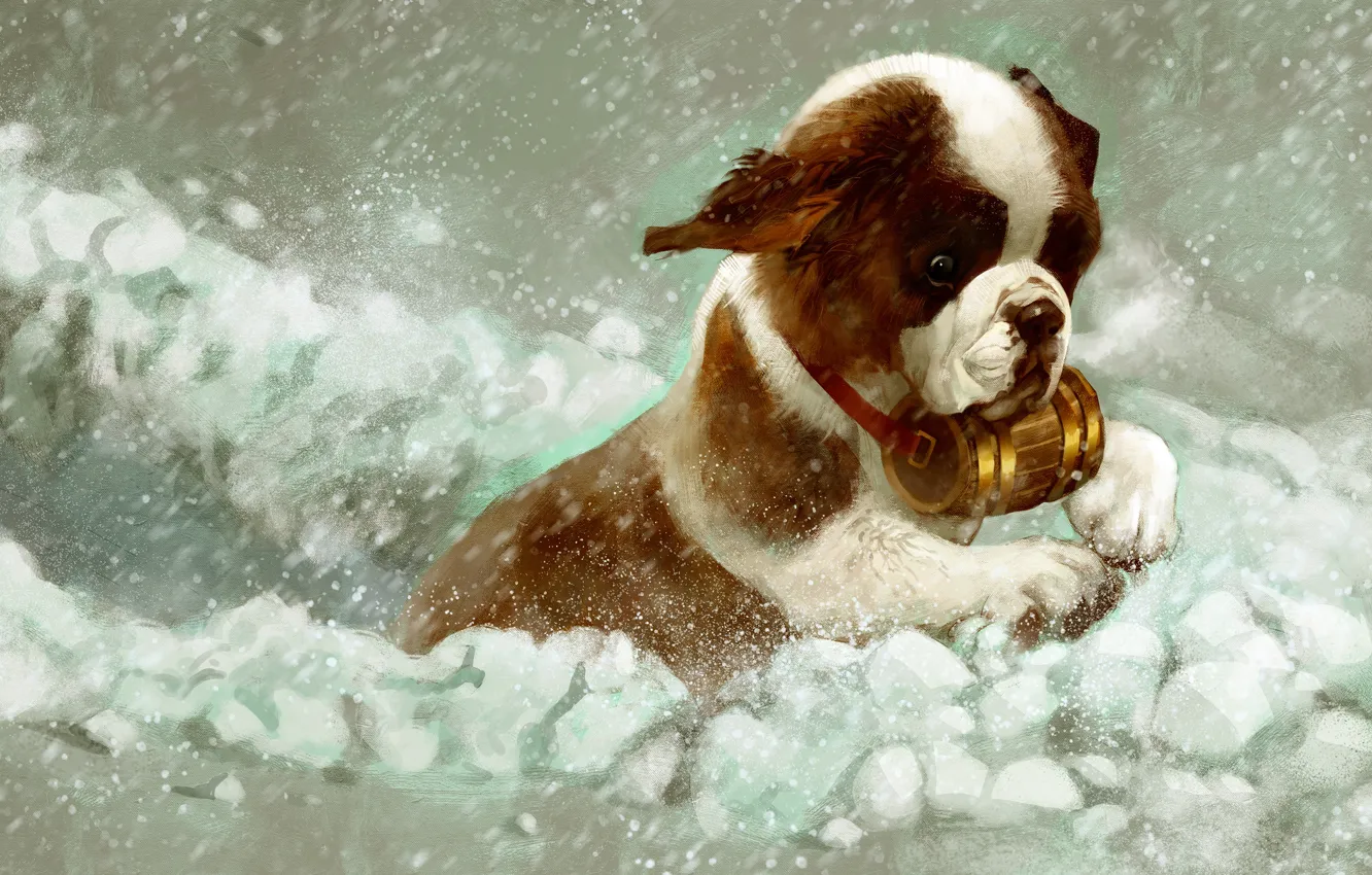 Photo wallpaper winter, snow, St. Bernard, puppy