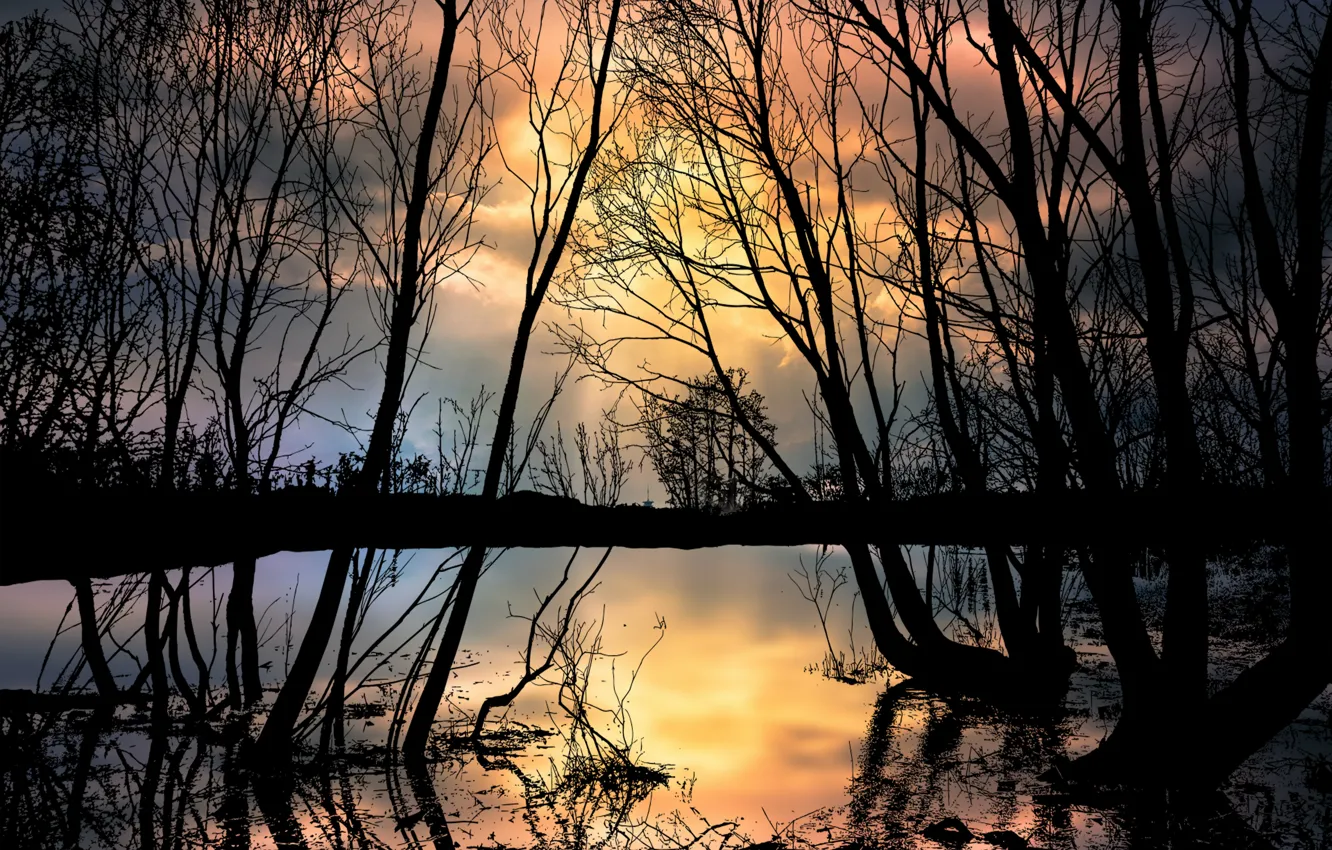 Photo wallpaper sunset, lake, silhouette of trees