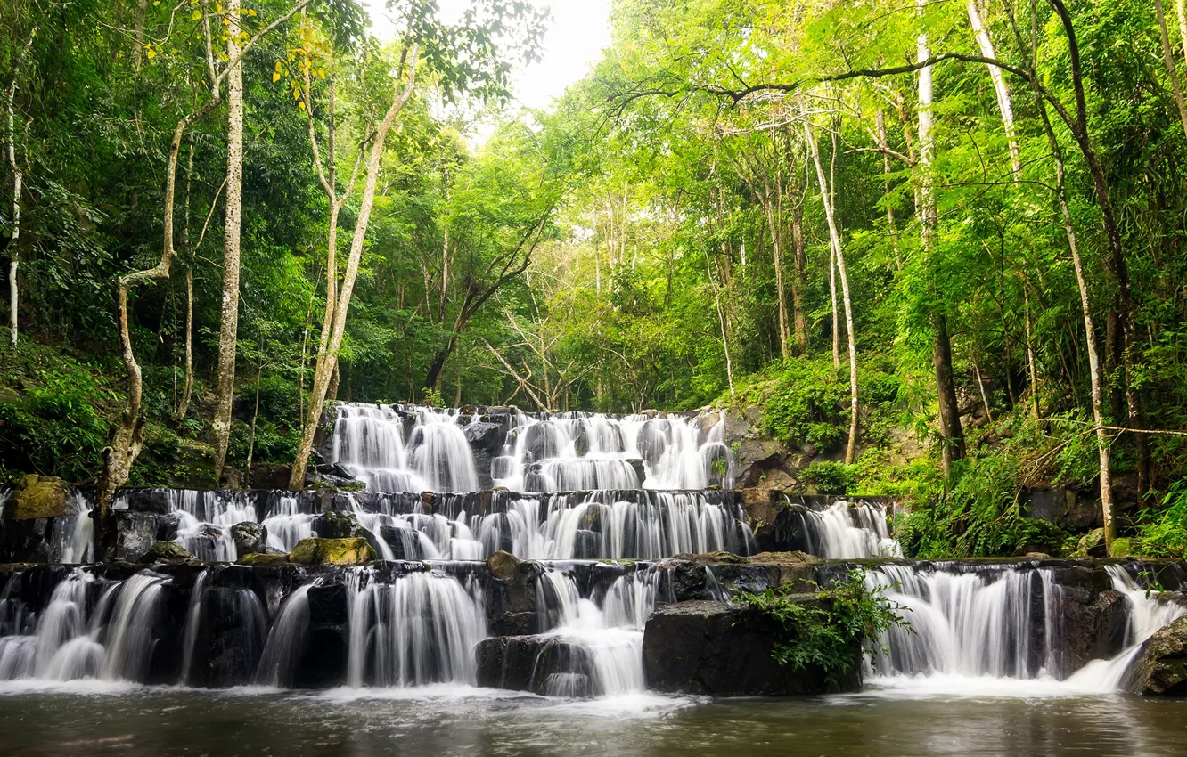 Photo wallpaper greens, forest, trees, tropics, stream, stones, waterfall, Thailand