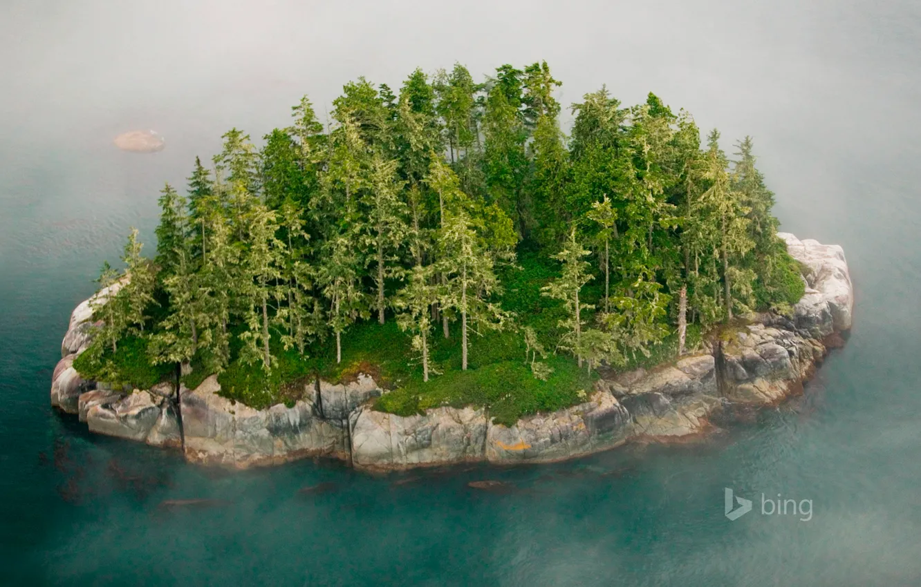 Photo wallpaper trees, fog, rock, island, Canada, British Columbia, the Broughton archipelago