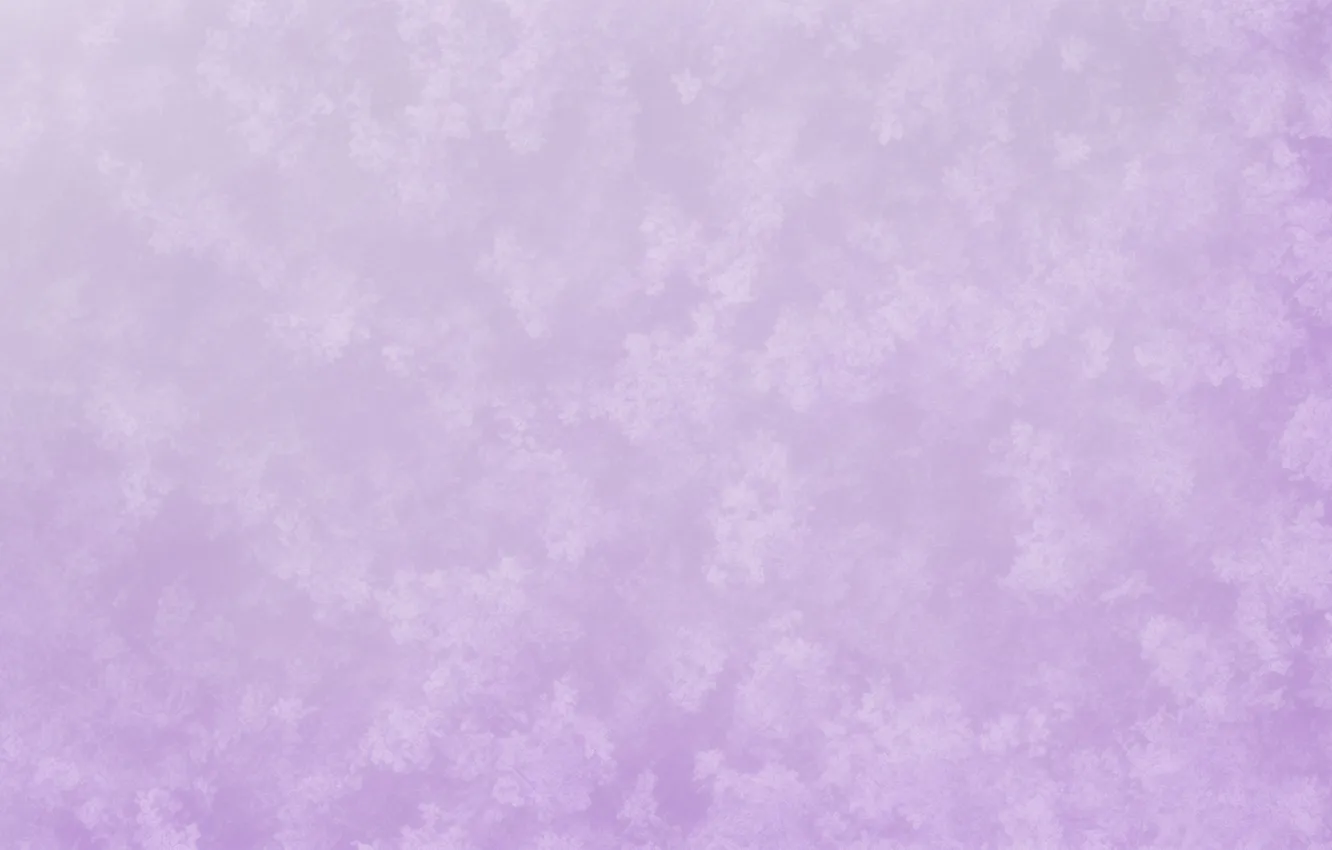 Photo wallpaper purple, flowers, background, Wallpaper, wallpaper, flower, flowers, lilac