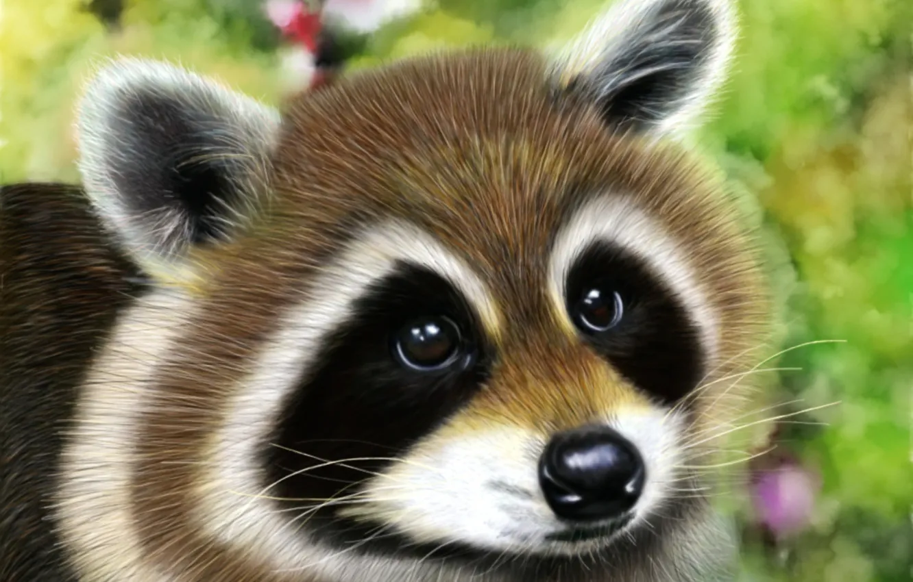 Photo wallpaper eyes, look, animal, muzzle, raccoon, ears