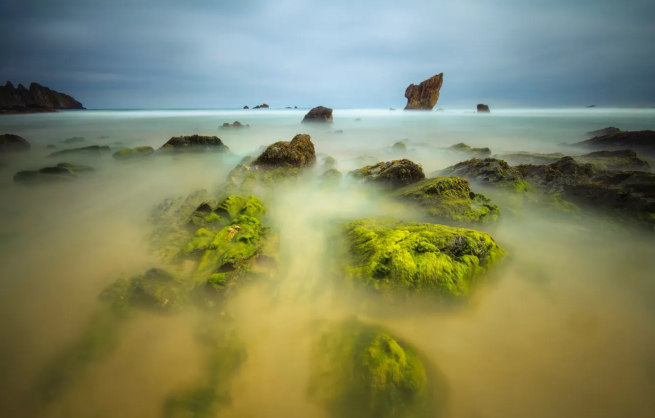 Photo wallpaper sea, the sky, clouds, algae, stones, rocks