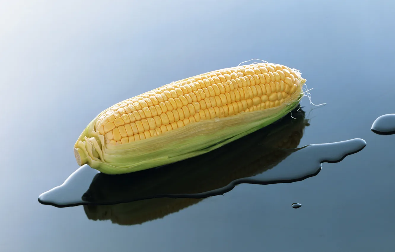 Photo wallpaper water, nature, corn, the cob