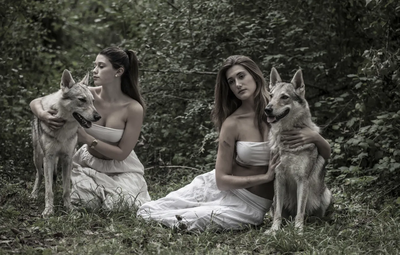 Photo wallpaper girl, nature, dog