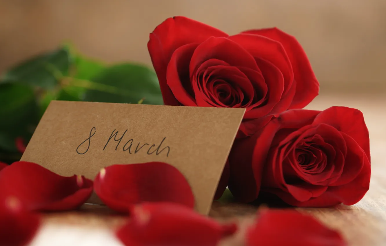 Photo wallpaper bouquet, petals, red, March 8, romantic, gift, roses, red roses