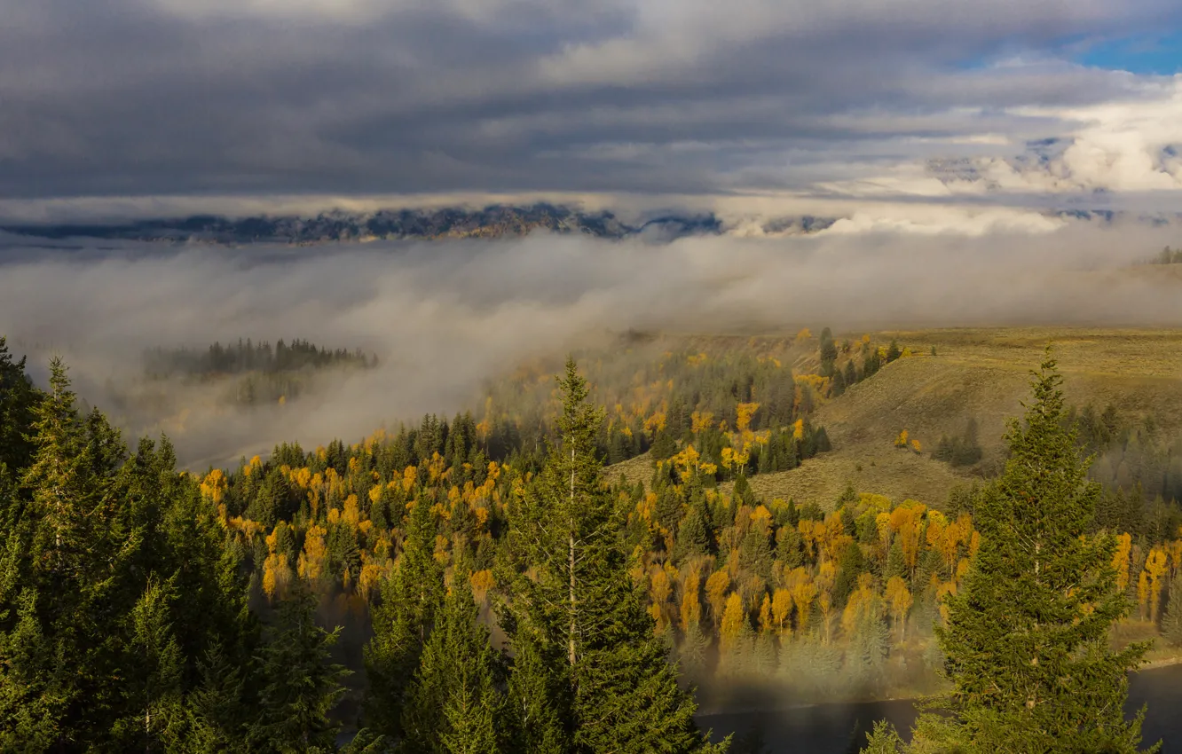 Photo wallpaper autumn, forest, clouds, trees, fog, river, panorama, USA