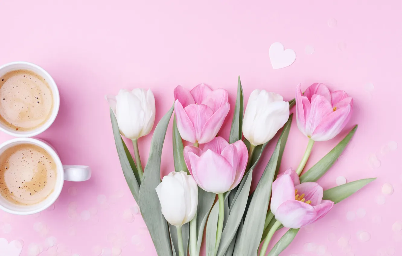 Photo wallpaper flowers, tulips, pink background, March 8, pink, flowers, background, cup