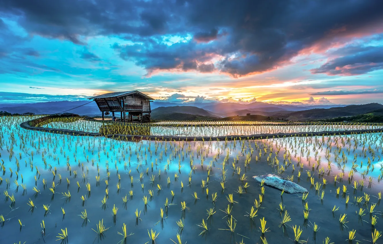 Photo wallpaper Asia, hut, figure, plantation