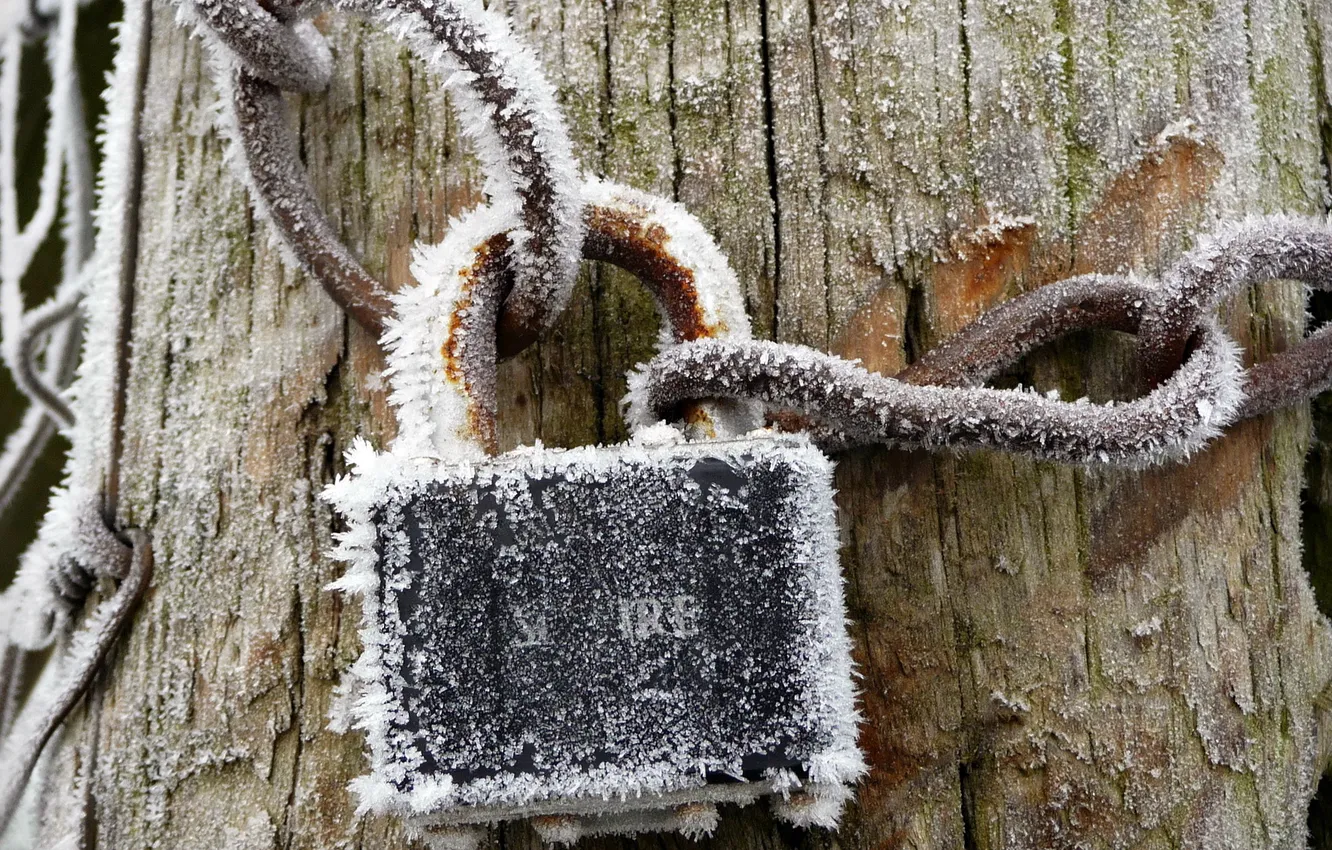 Photo wallpaper frost, macro, castle