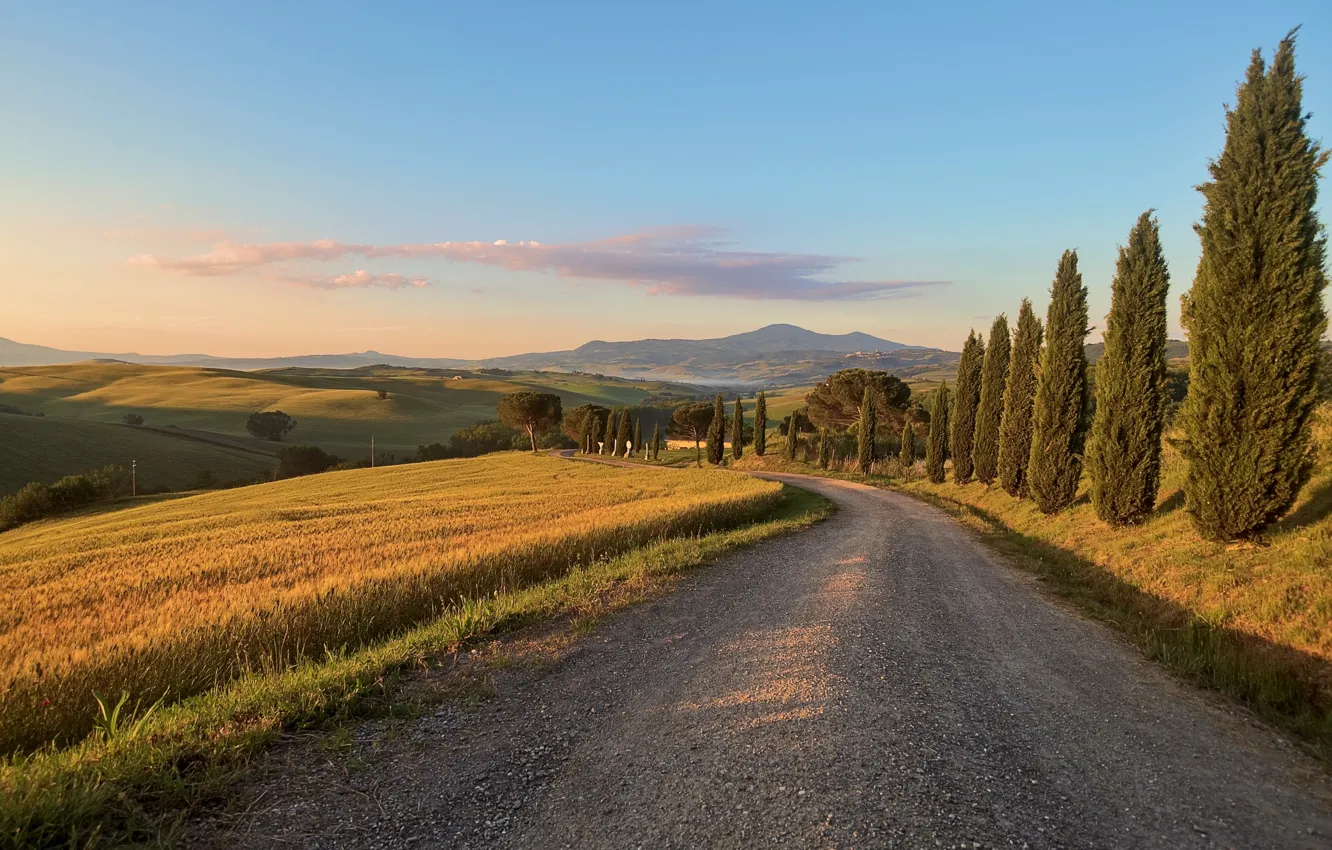 Photo wallpaper road, summer, Tuscany