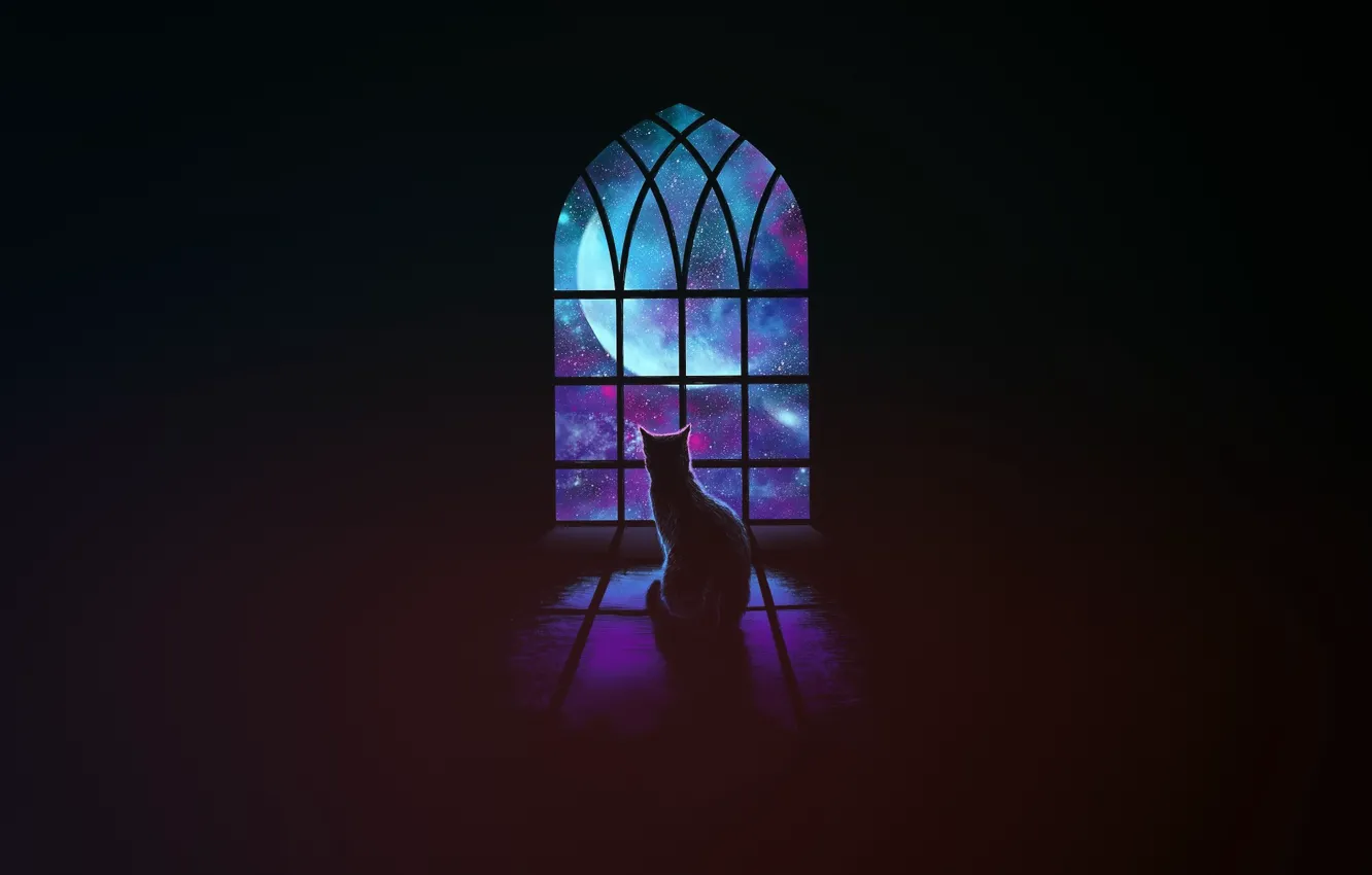 Photo wallpaper cat, cat, space, stars, background, minimalism, window, art