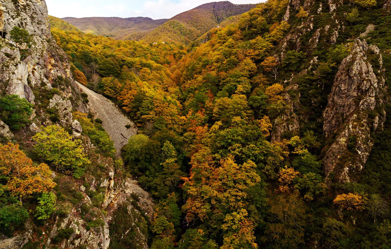 Photo wallpaper autumn, forest, trees, mountains, stones, rocks, the view from the top